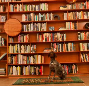 Dog pictured in front of home library