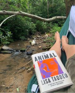 The book Animal by Lisa Taddeo being read in a hammock over a creek. 